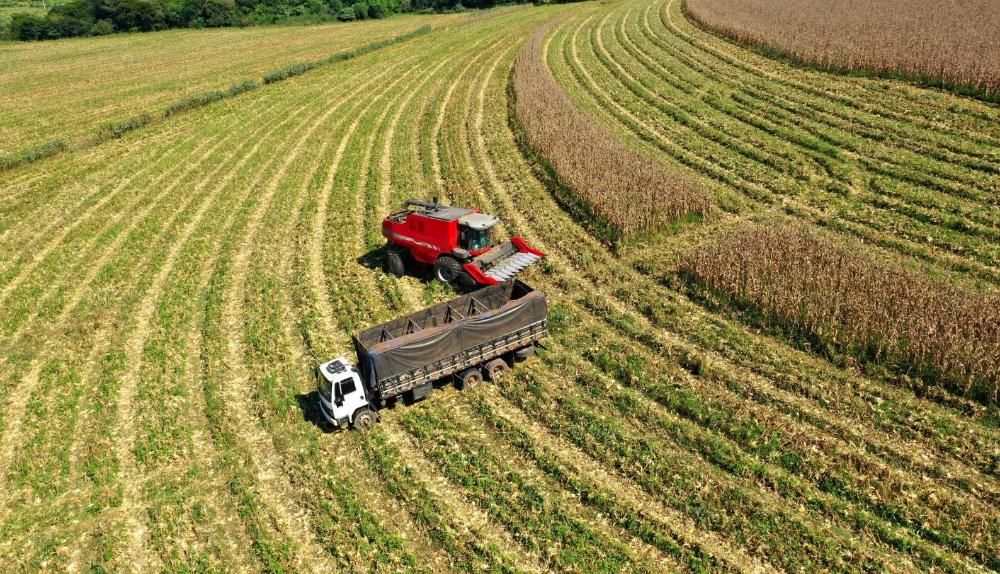 Recuperação judicial no agronegócio cresce, mas renegociar dívidas não basta para superar a crise